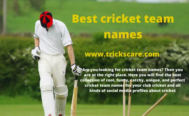 450+ cool cricket team names ideas and suggestions - TricksCare