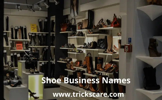 best shoe business names