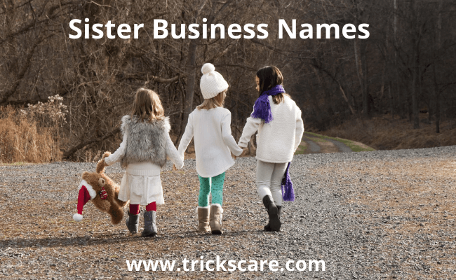 cool , funny , best sister business names