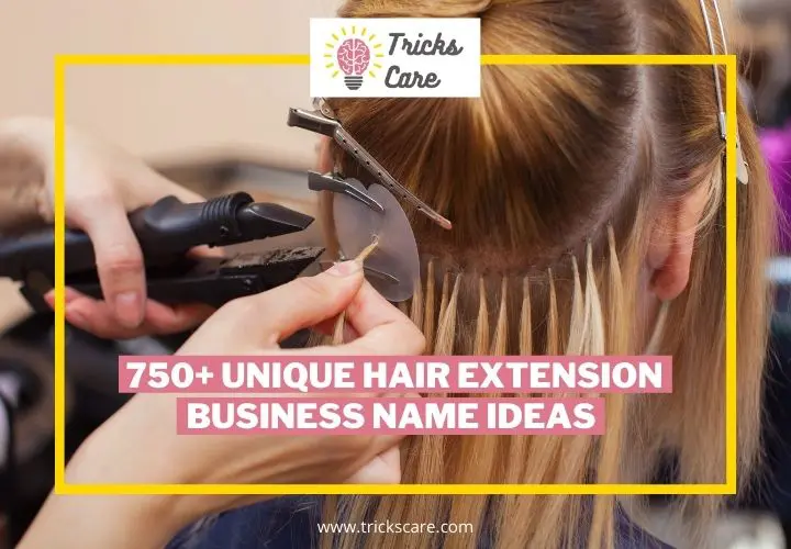 750 Attractive Hair Extension Business Name ideas