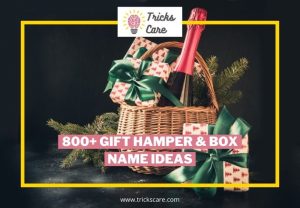 800+ Gift Hamper & Box Name Ideas
