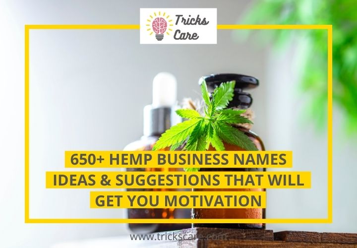 650+ Hemp Business Names Ideas & suggestions that will get you motivation