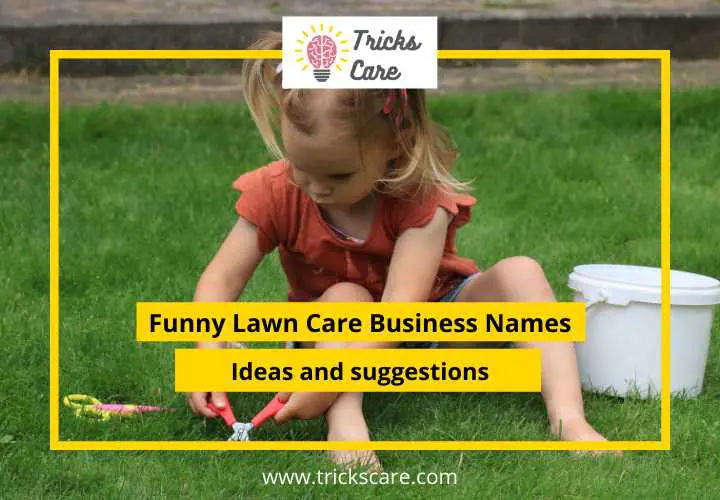 1100 Cool, Funny and Unused Lawn Care Business Names Ideas