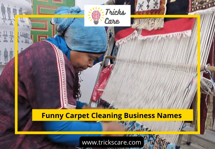 Funny Carpet Cleaning Business Names