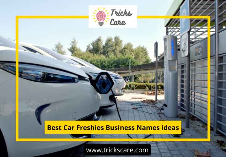 Car Freshies Business Names