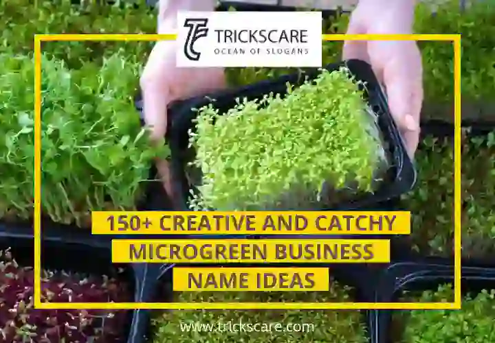 150-Creative-and-Catchy-Microgreen-Business-Name-Ideas