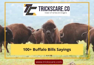 Buffalo Bills Sayings