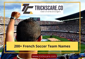 French Soccer Team Names