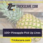 Funny Pineapple Pick Up Lines