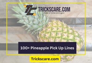 Funny Pineapple Pick Up Lines